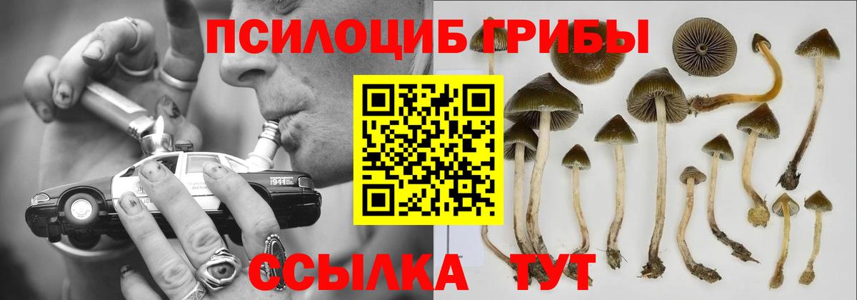 Галлюциногенные грибы прущие грибы Каменск-Уральский